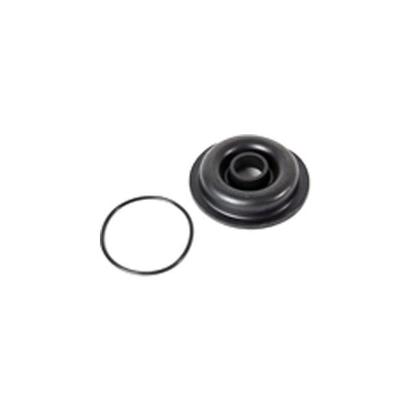 WHALE auto part