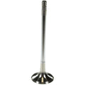 Exhaust Valve