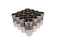 ProMag H-Flat Lifter Ford V8 231/240-300
