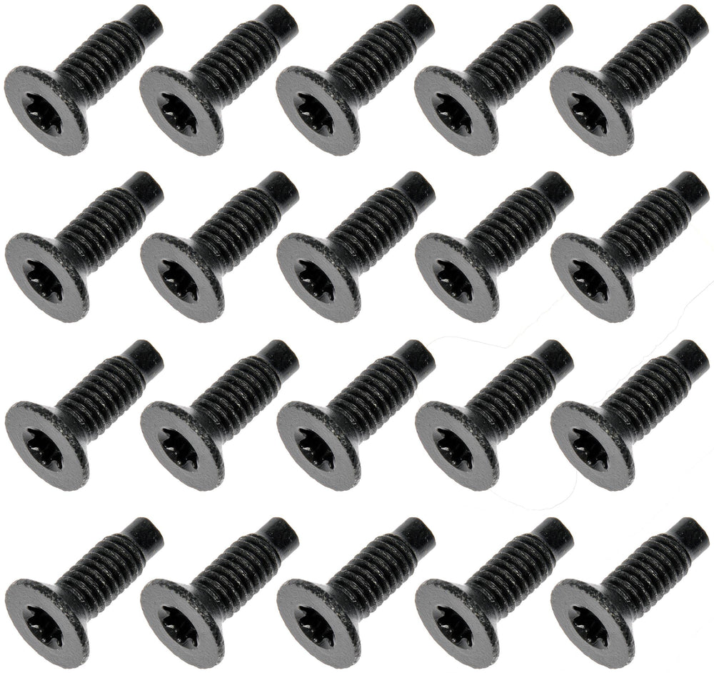 DOOR HINGE SCREWS