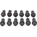 HEADER BOLTS SBC 3/8 X3/4