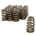 1.307 Valve Springs - Ovate Beehive (16)