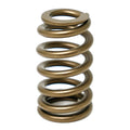 1.307 Valve Springs - Ovate Beehive (16)