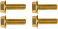 FLANGE CAP SCREW
