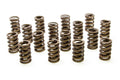 1.260 Single Valve Spring w/Damper (1)