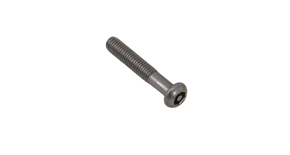 M6 x 35 S S BTN HD SECURITY SCREW (BP 6)