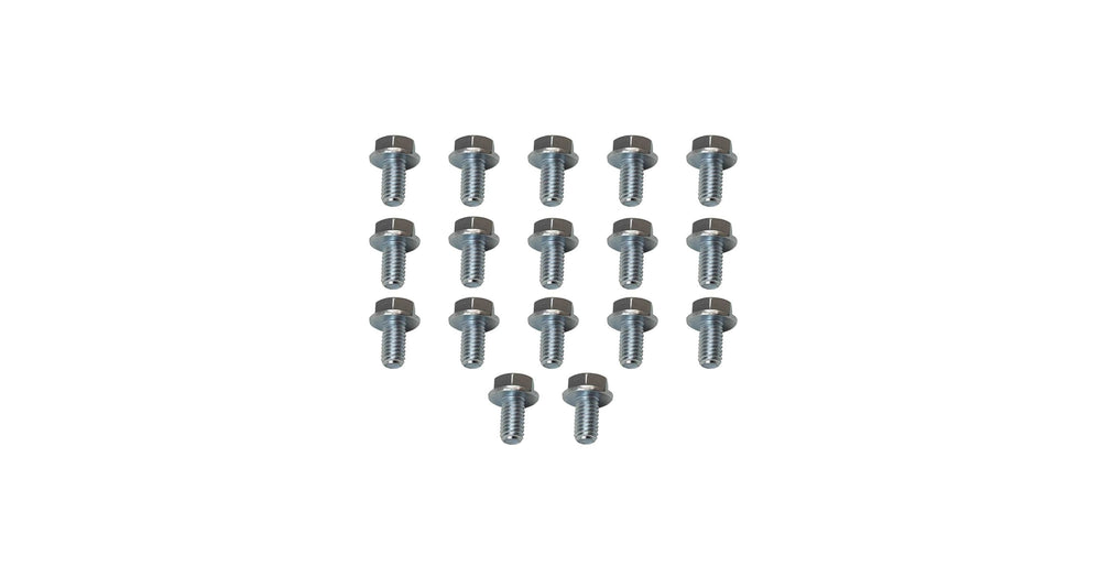 Moroso 4L60/4L60E/200R4/700R4 Transmission Pan Bolts - Set of 17