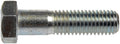 SCRWCP GR5 5/811X21/2