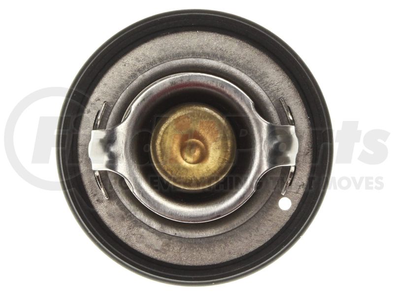 Gates Automotive Timing Belt