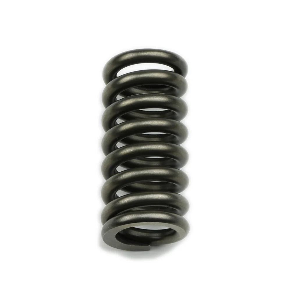 Sun Coast Converters springs