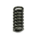 Sun Coast Converters springs