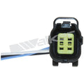 Walker Products Inc. - auto part