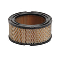AIR FILTER BRIGGS