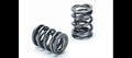 Supertech Toyota 2JZ-GE 19.70mm Outer ID 15.20mm Inner ID 10.4 SR Beehive Spring - Single (D/S Only)
