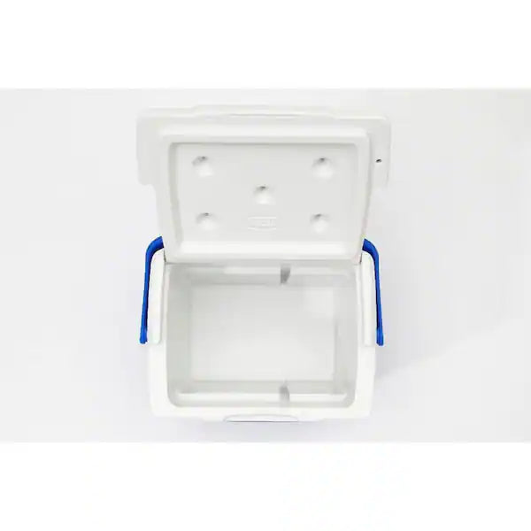 COLEMAN RVP auto part