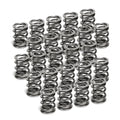 Supertech Honda H22A1/H22A4 Dual Valve Spring - Single (Drop Ship Only)