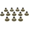 GM 3.6L High Feature Vin 7 (2004-2009) Vin V (2008-2009) Vin D (2009)