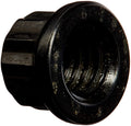 ARP 5/16in-18 12pt Black Oxide Nut Kit (10-Pkg)