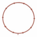 Fuel Injection Throttle Body Mounting Gasket - 71-13886-00