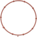Fuel Injection Throttle Body Mounting Gasket - 71-13886-00