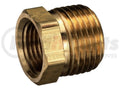 BRASS PIPE ADAPTER