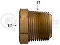 BRASS PIPE ADAPTER