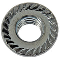 NUT FLANGE M81.25 CLS10