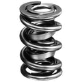 Manley SPRING-1.550 CHR SIL EA