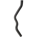 CURVED RADIATOR HOSE