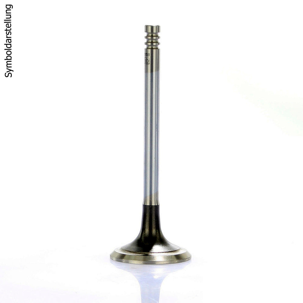 EXHAUST VALVE