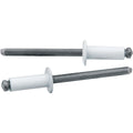 Sm Hd Rivet White 250pk