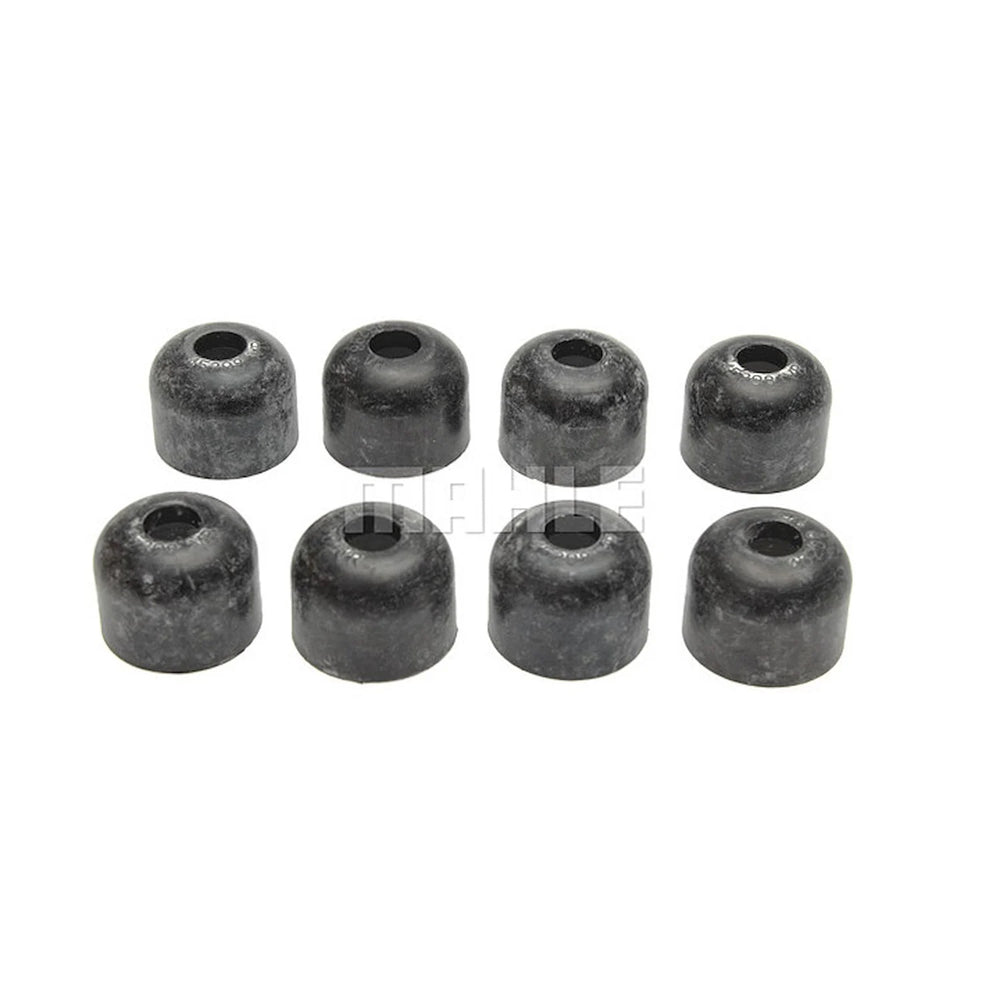 Mahle auto part