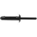 FENDER BLIND RIVET