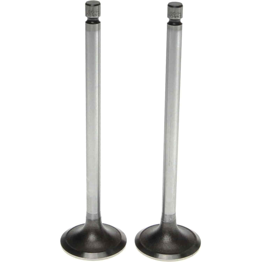 Engine Intake Valve