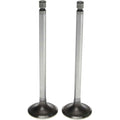 Engine Intake Valve