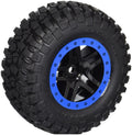 T&W GLUED (SCT SS BLK/BLUE BE