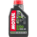 ~(2 lbs. 8X4X2)~ SCOOTER EXPERT 4T 10W40 MB 12X1L
