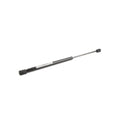 BLACK NITRIDE GAS SPRING - 17" X 30
