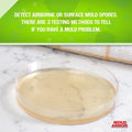 MA DIY MOLD TEST KIT