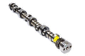 CLEAR/AMBER 3 LED SEALED LIGHT
