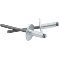 Lg Hd Rivet Silver 250pk