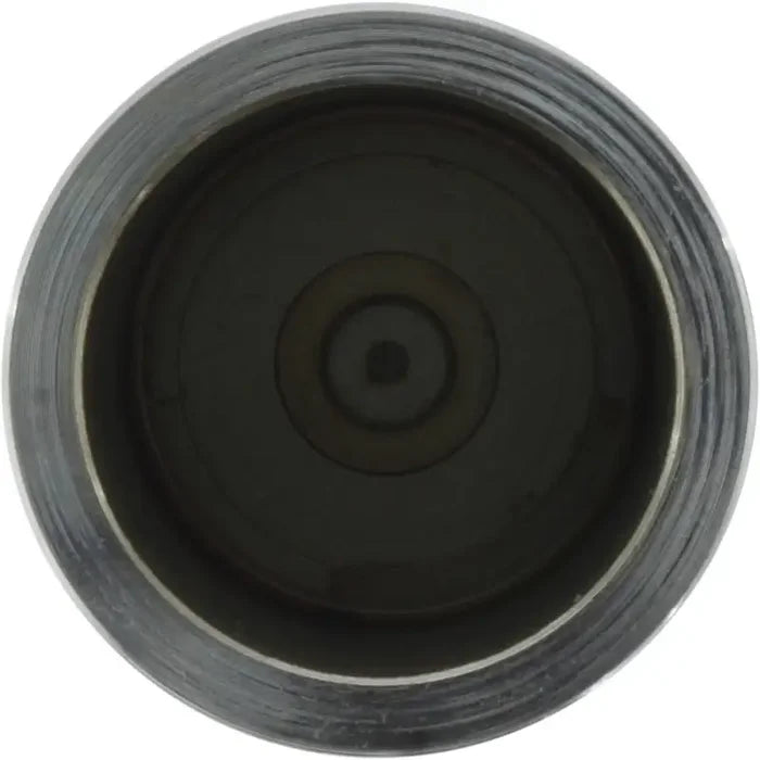 CALIPER PISTON
