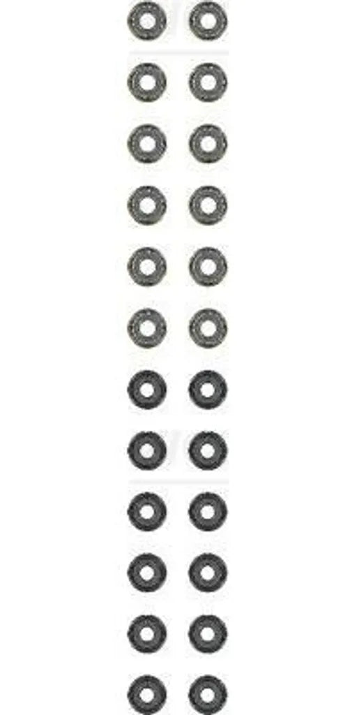 Engine Valve Stem Oil Seal Set - 12-54024-02