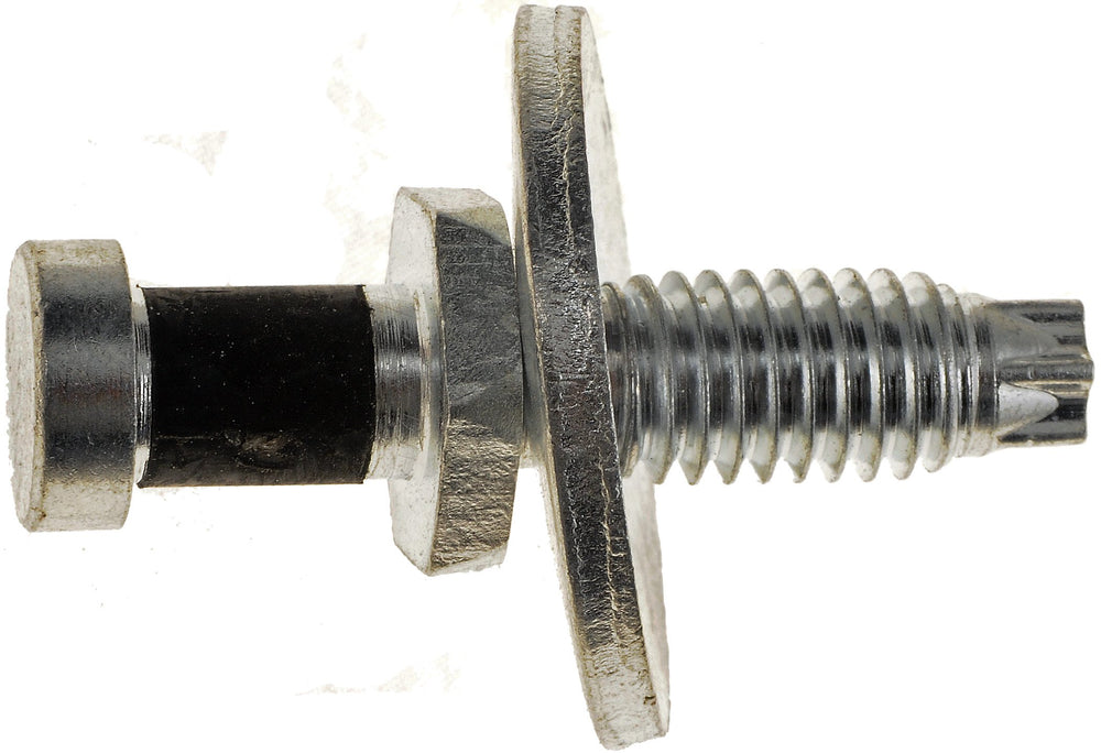 DOOR STRIKER BOLT