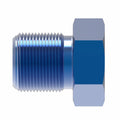 #6 O-Ring Boss Plug