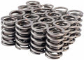 Valve Spring