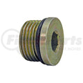 PLUG, SOCKET STR THD O RING