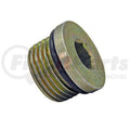 PLUG, SOCKET STR THD O RING