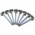 Ferrea Chevy SB 1.94in 11/32in 4.91in 10 Deg U/C Dish Head Stk 5000 Series Intake Valve - Single