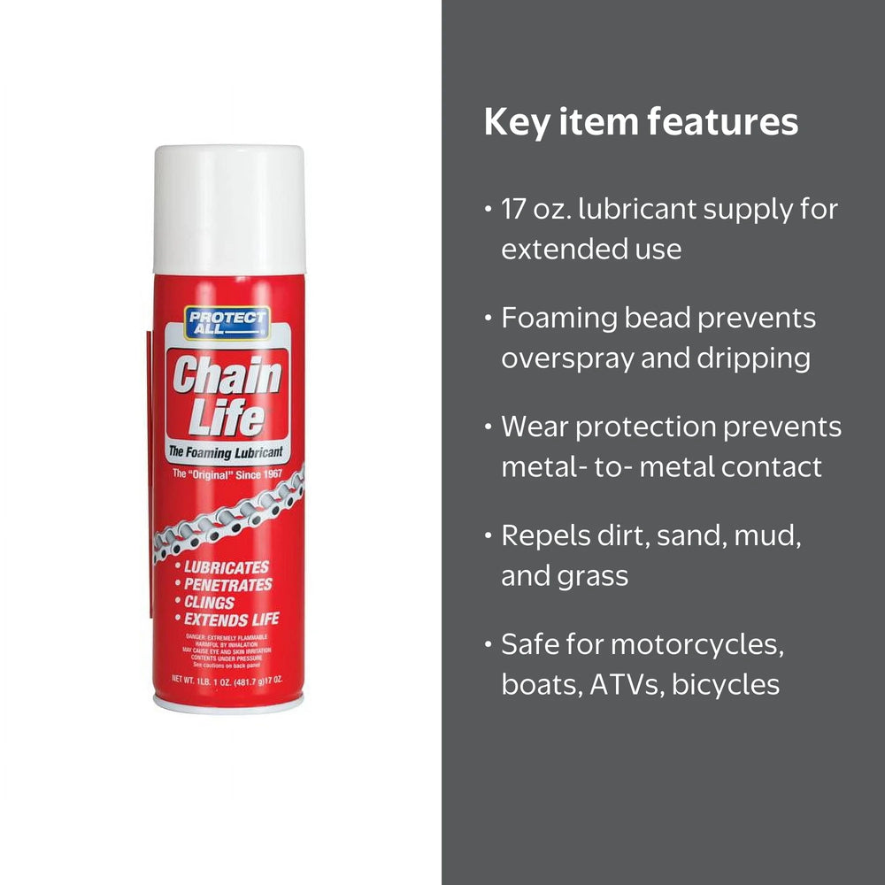 CHAIN LIFE , 17 OZ. AEROSOL